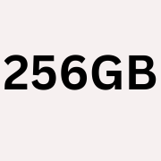 Buy 256GB Memory Cards in Qatar