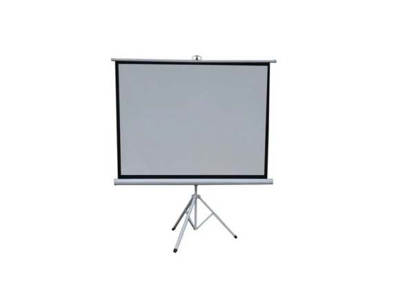 Green Lion Portable Projection Screen with Tripod Stand 72 - Matte White