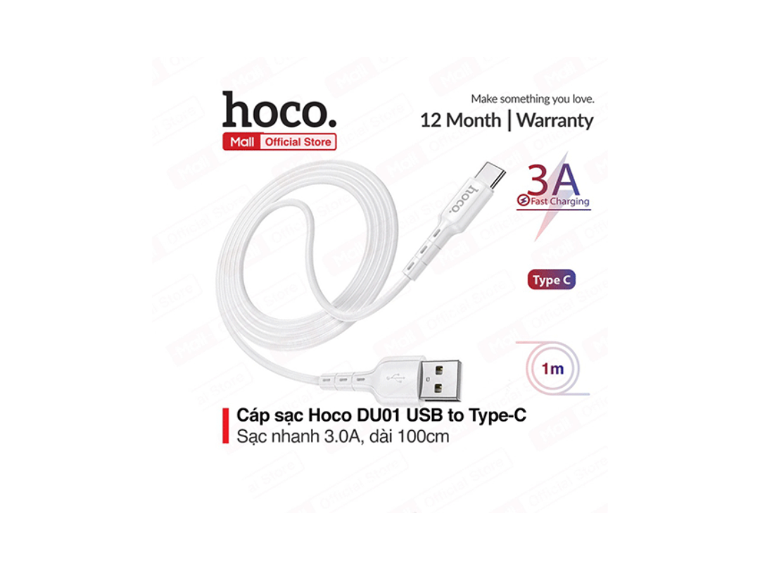 Hoco DU01 USB to Type-C Fast Charging and Data Transfer Cable