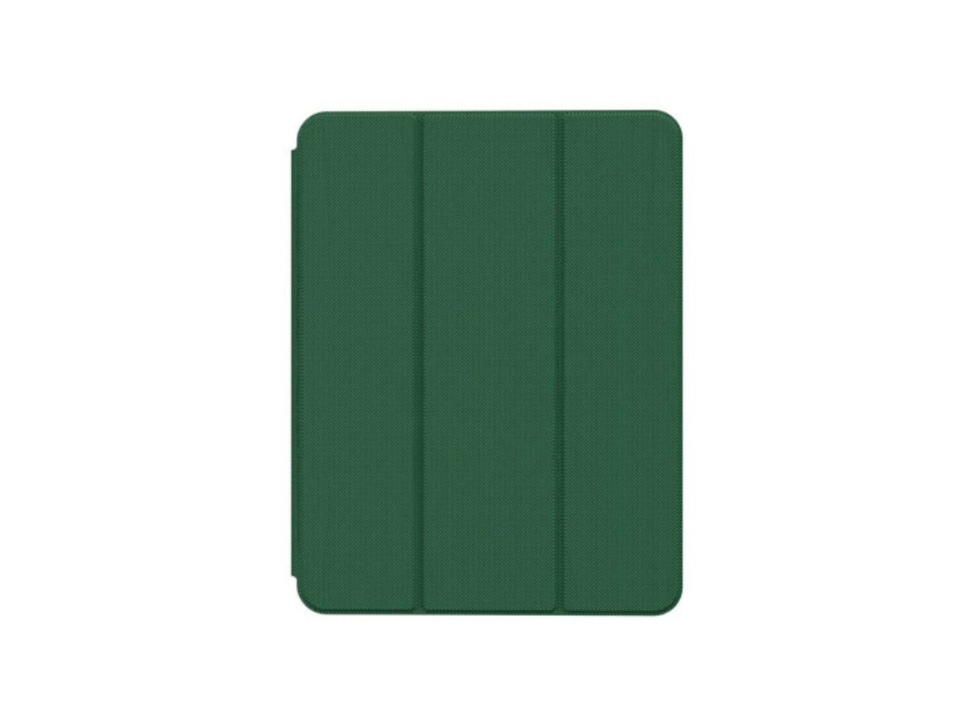 Green Lion Hogo iPad 10