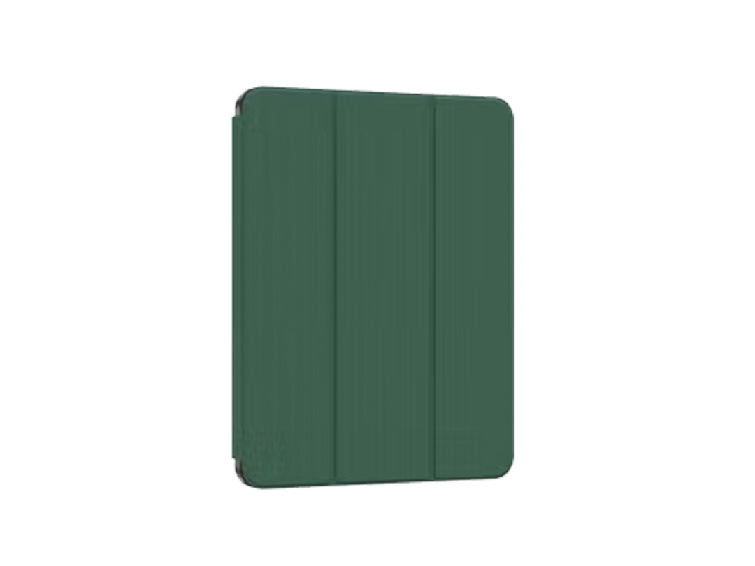 Green Lion Hogo iPad 10